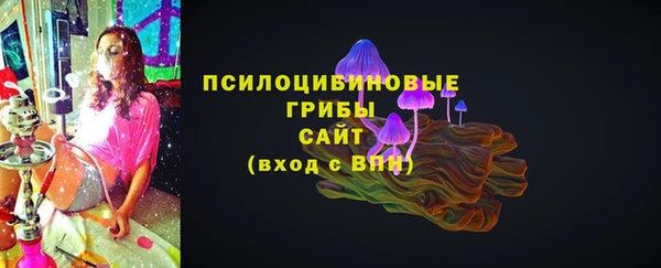 молекула духа Балахна